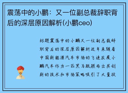 震荡中的小鹏：又一位副总裁辞职背后的深层原因解析(小鹏ceo)