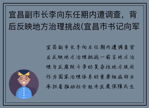 宜昌副市长李向东任期内遭调查，背后反映地方治理挑战(宜昌市书记向军)